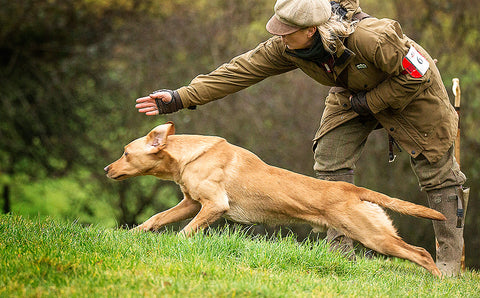 Dog Trainer Sarah Miles Feeds Her Dogs Benyfit Raw Dog Food