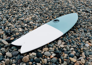 Modern Retro Fish Surfboard