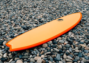Beginner Fish Surfboard