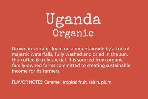 Uganda Organic Coffee