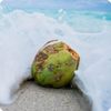 files/Bitmap_b751e4c5-58bb-4578-a86b-d8ed7893aaa3
