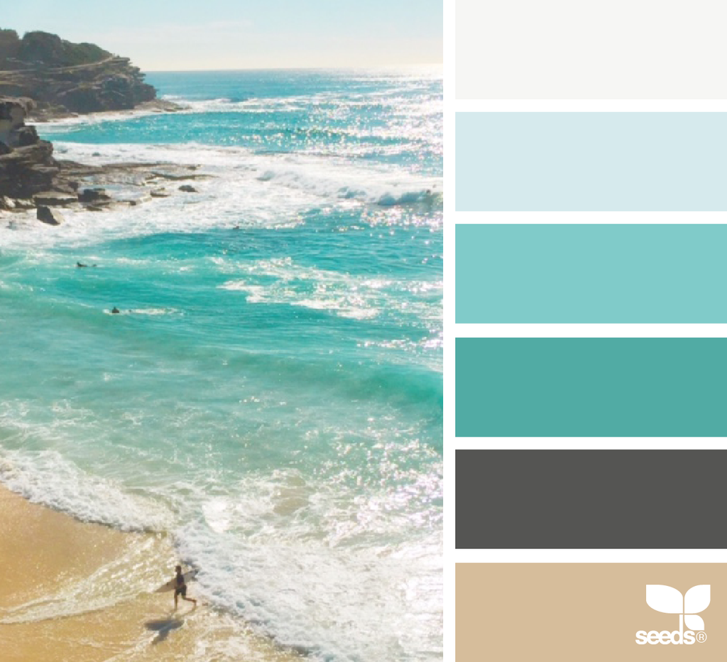 design seeds ocean colour palette