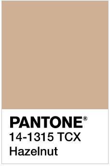 hazelnut pantone