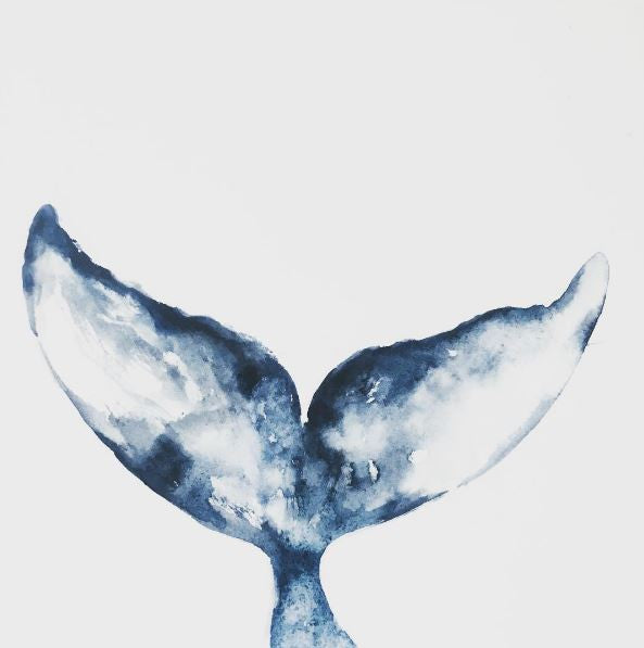brigitte may watercolour whale