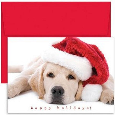 Pet Christmas Cards