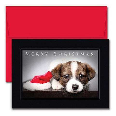 Cute Dog Christmas Cards