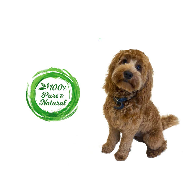 dudley's natural dog treats