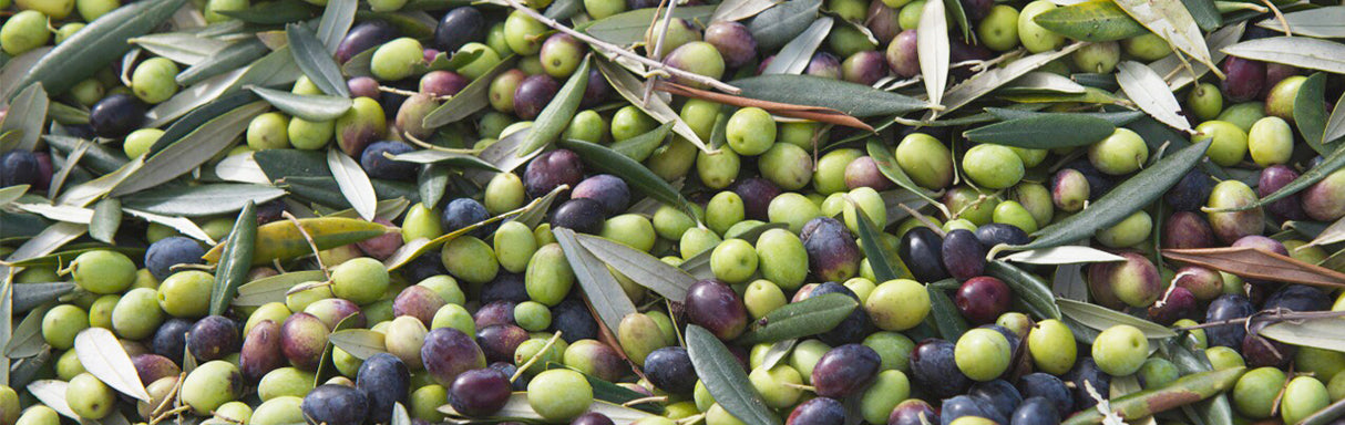 Olives mixed