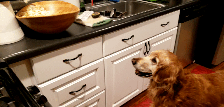 Zuko waiting for popcorn in the kitchen