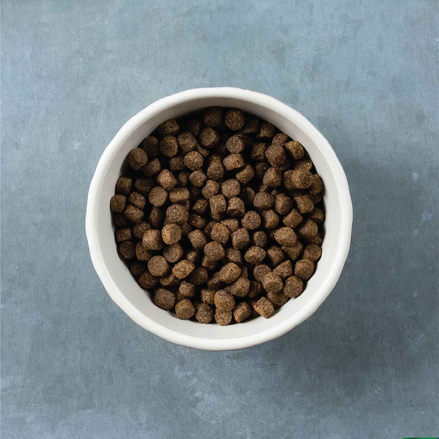 Evolve Grain Free Turkey & Sweet Potato Recipe Dog Food 13 lb Bag-14
