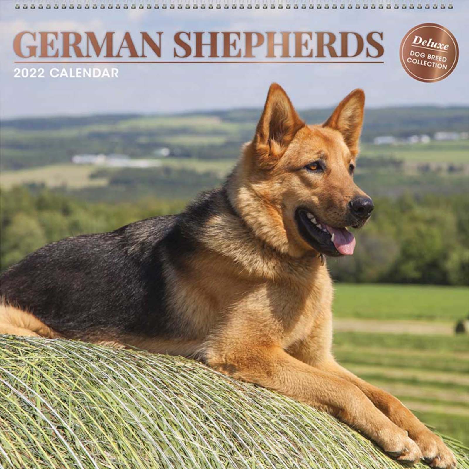 Deluxe German Shepherd CalendarN Yorkshire Trading Company