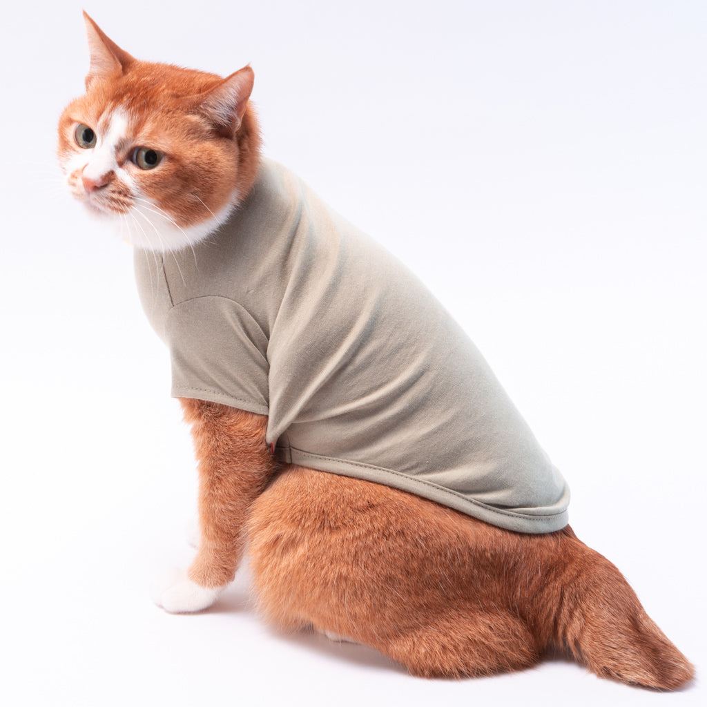 猫に優しい猫服 コットンT 無地（半袖）｜ぽぽねこ公式オンラインショップ