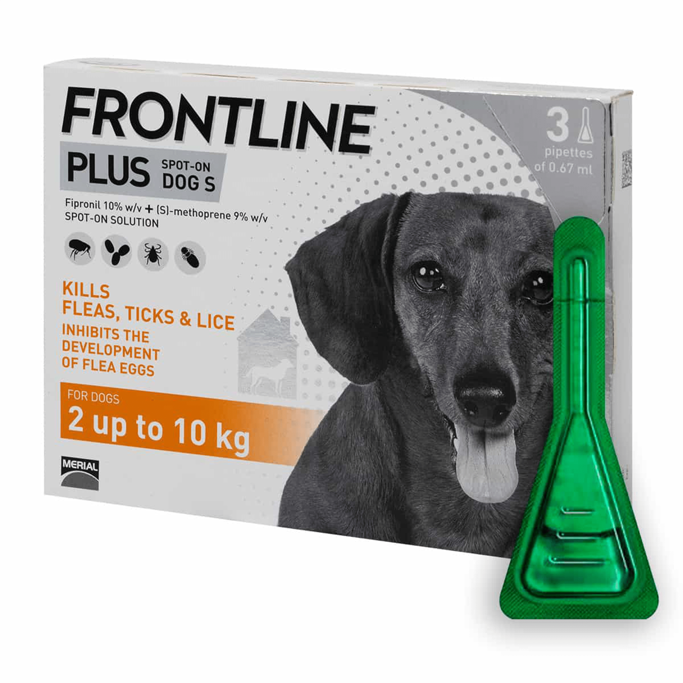 can your dog get fleas with frontline