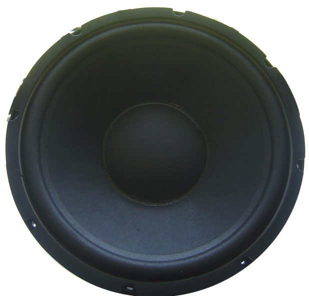 thakral speaker 8 inch price