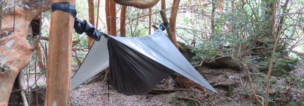 camping in Hennessy Hammock in the forest