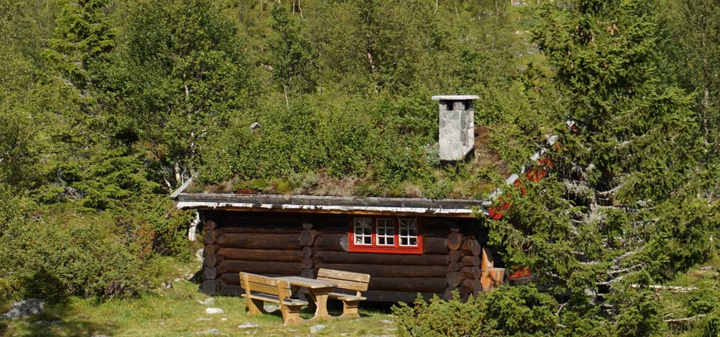 log cabin with green roof in Norway