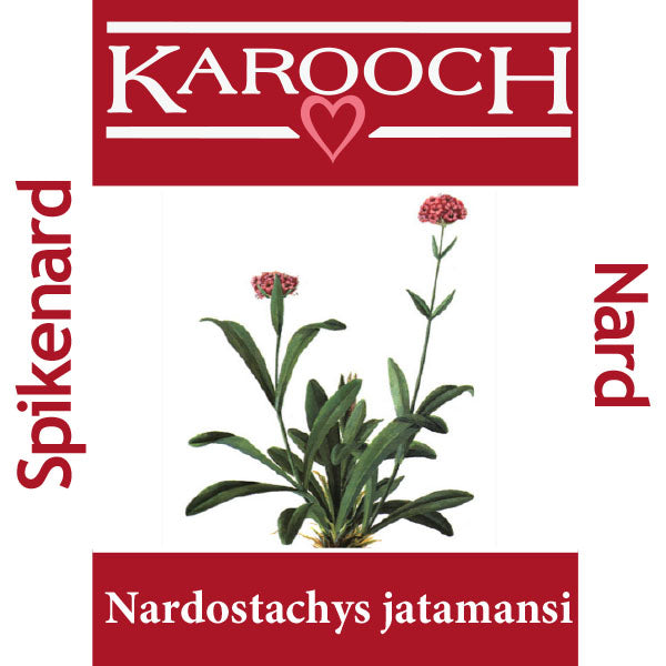 Download Nardostachys Jatamansi Plant Gif
