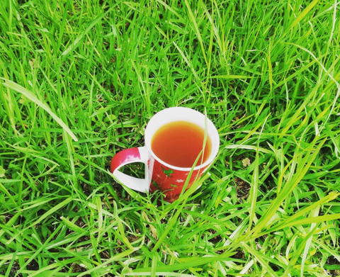 benefits of drinking oolong tea