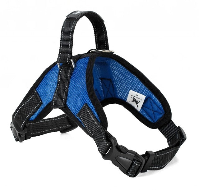 Dog Products - Online Dog Store - Mr Zoomie