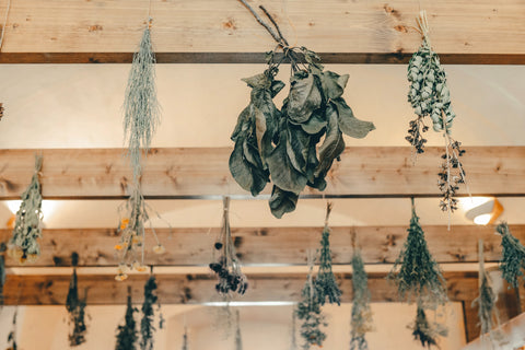 Hanging Dried Flowers