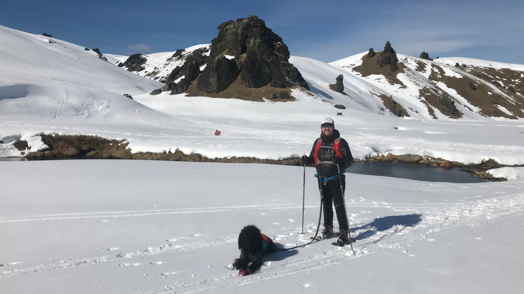 ski and snow shoeing with dogs in new zealand