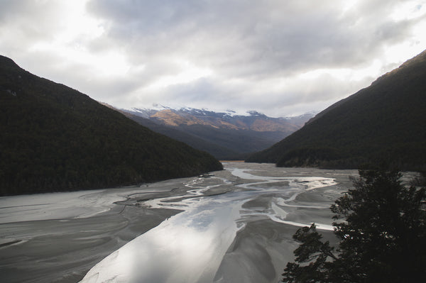The Dart River New Zealand