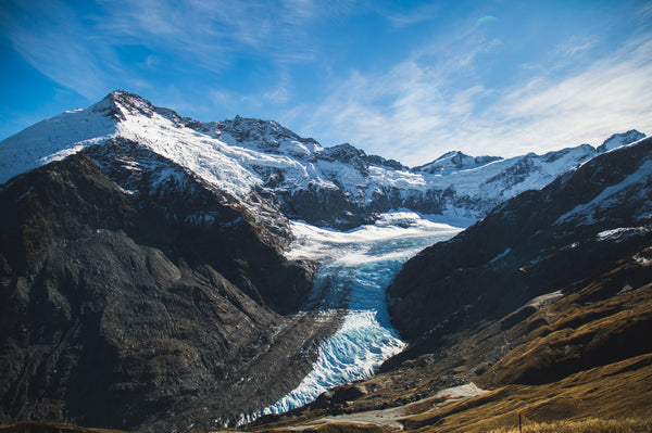 Dart Glacier NZ