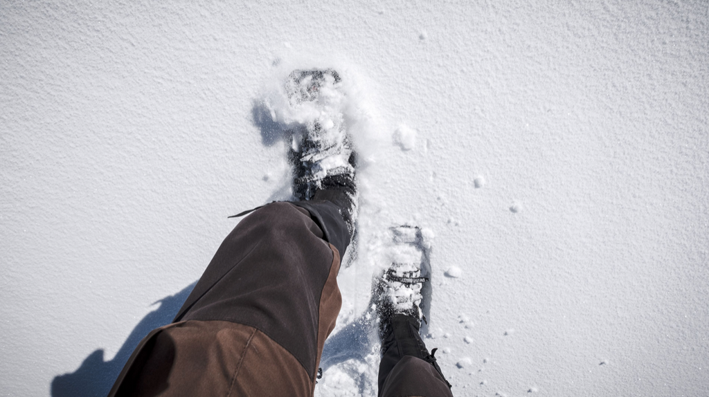 first steps in the snow