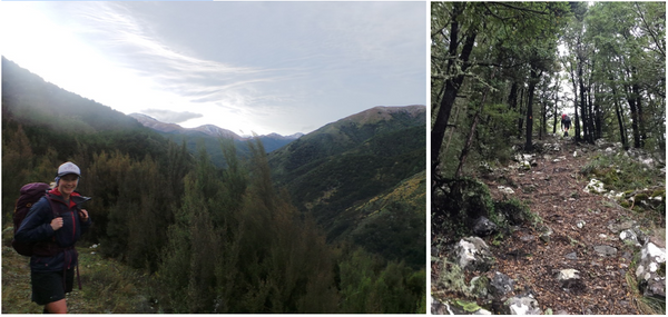 Hiking up the valley to tarn hut