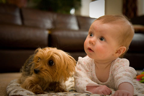 Infant with dog