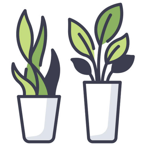 Click here for matching plants