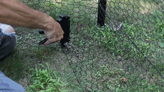 keep dog from going under fence