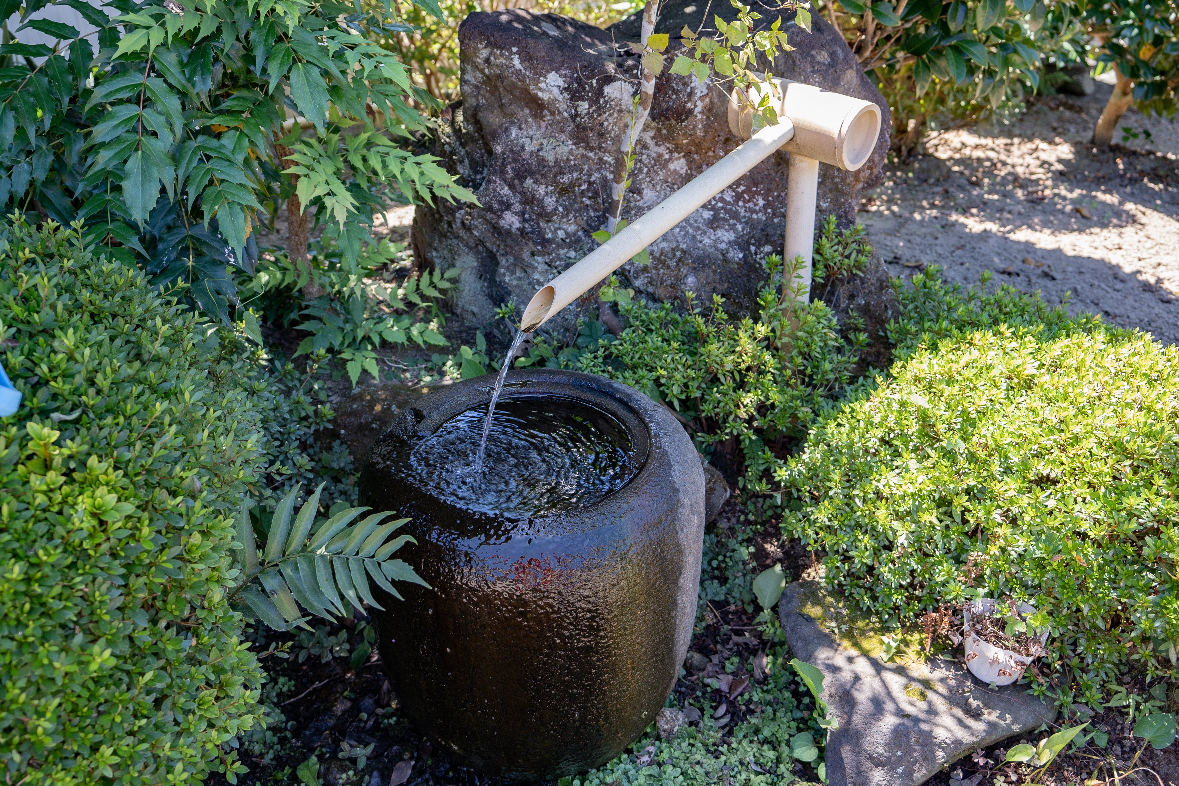 吉崎酒造の仕込み水