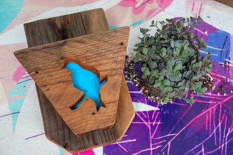 Wooden bird planter next to sedum plant
