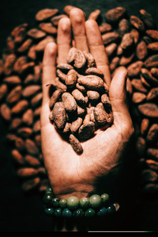 dry cacao