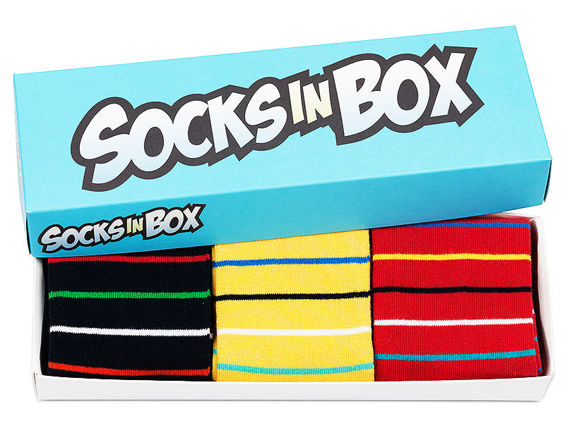 Barevné ponožky SocksInBox Colors