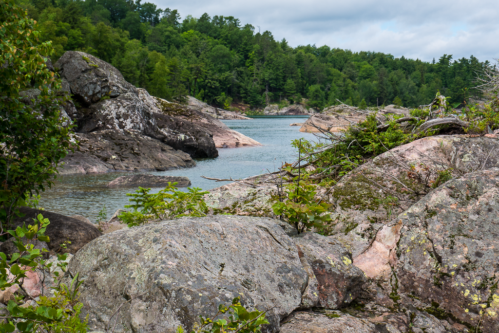 Lake Superior shoreline with trees and granite outcrops