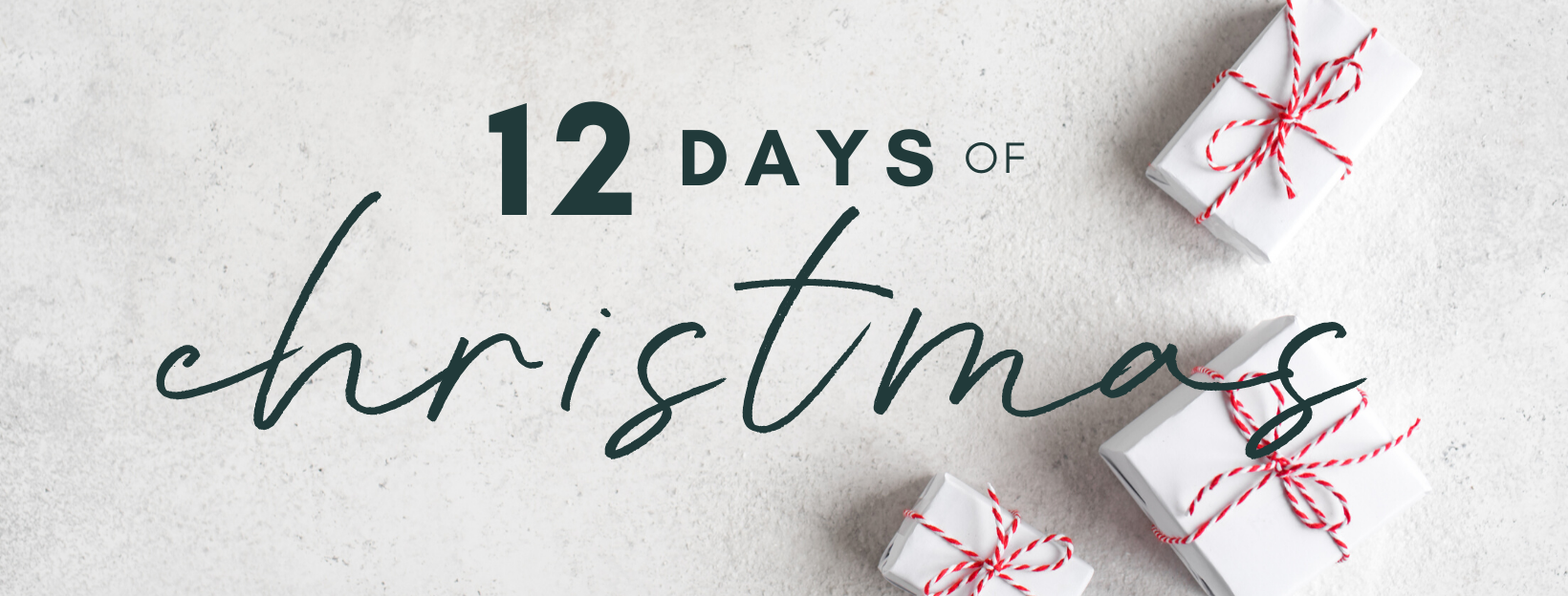 12 DAYS OF CHRISTMAS SALE