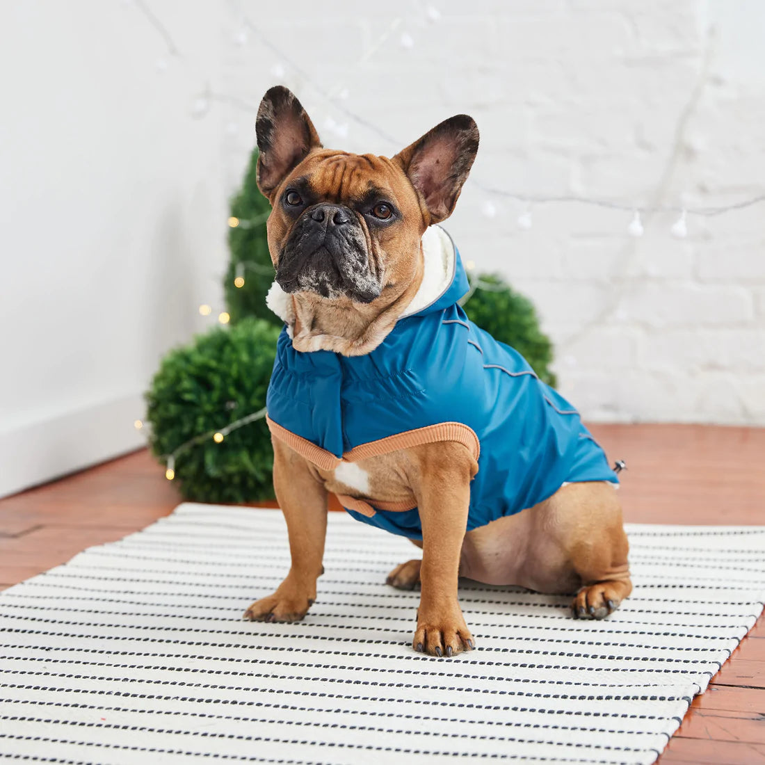 GF PET Insulated Raincoat - Dark Blue - Fuzz-E-Family