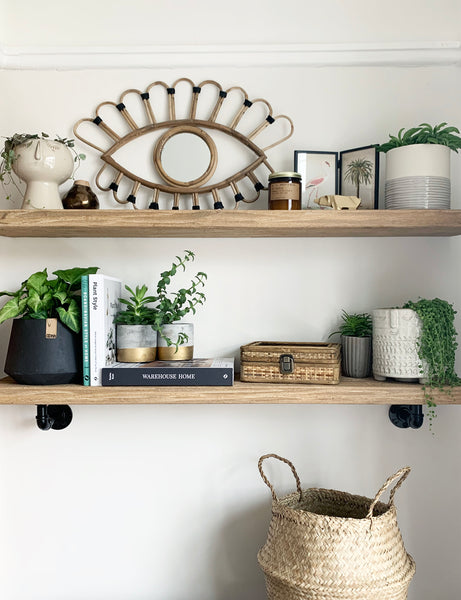 Botanical Plant Shelf Styling | The Den & Now