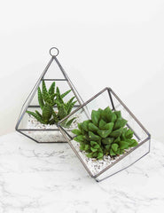 Pyramid & Cube Glass Terrariums