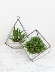 Glass Terrariums | Buy Stylish Homeware | The Den & Now