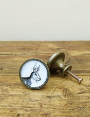 Hare Illustrated Drawer Knob | The Den & Now