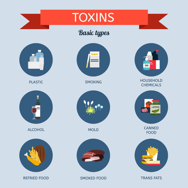 Understanding Harmful Toxins In Our Body - Tips To Reduce Toxins & How