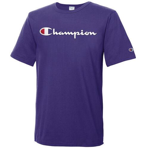 men's champion graphic jersey tee