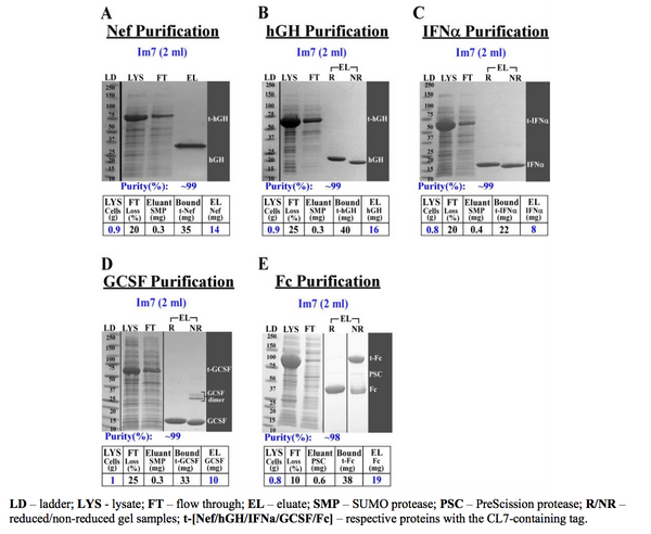 biosimilar proteins