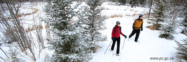 Prince Albert National Park winter 