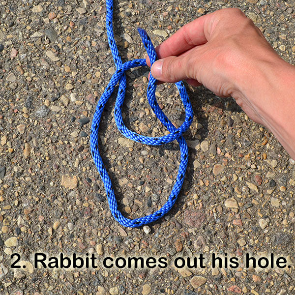 bowline rabbit out the hole