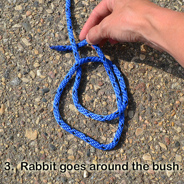 bowline knot rabbit goes around bush