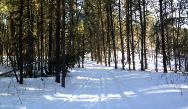 Gronlid ski trails 